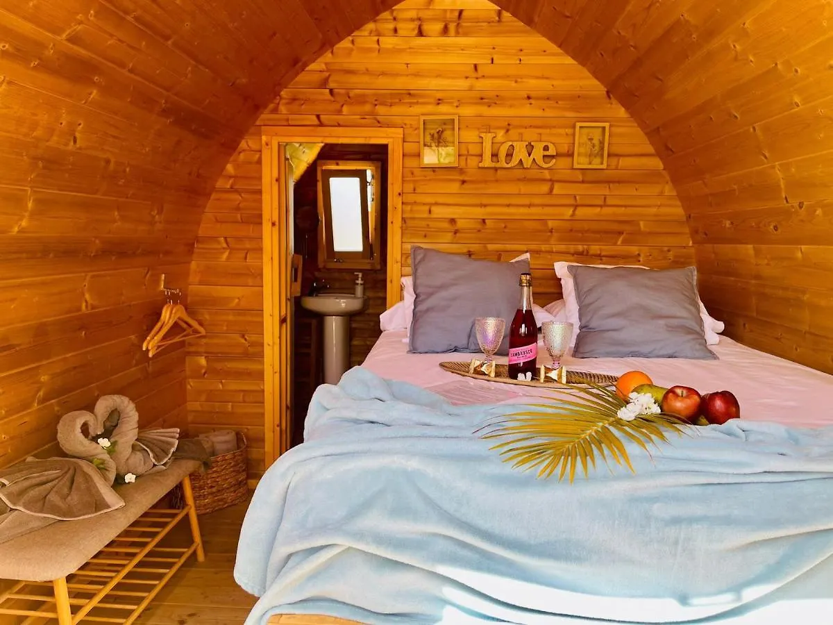 Daire Lykke Suite Spa Sauna Piscina Y Jardin Buzanada İspanya