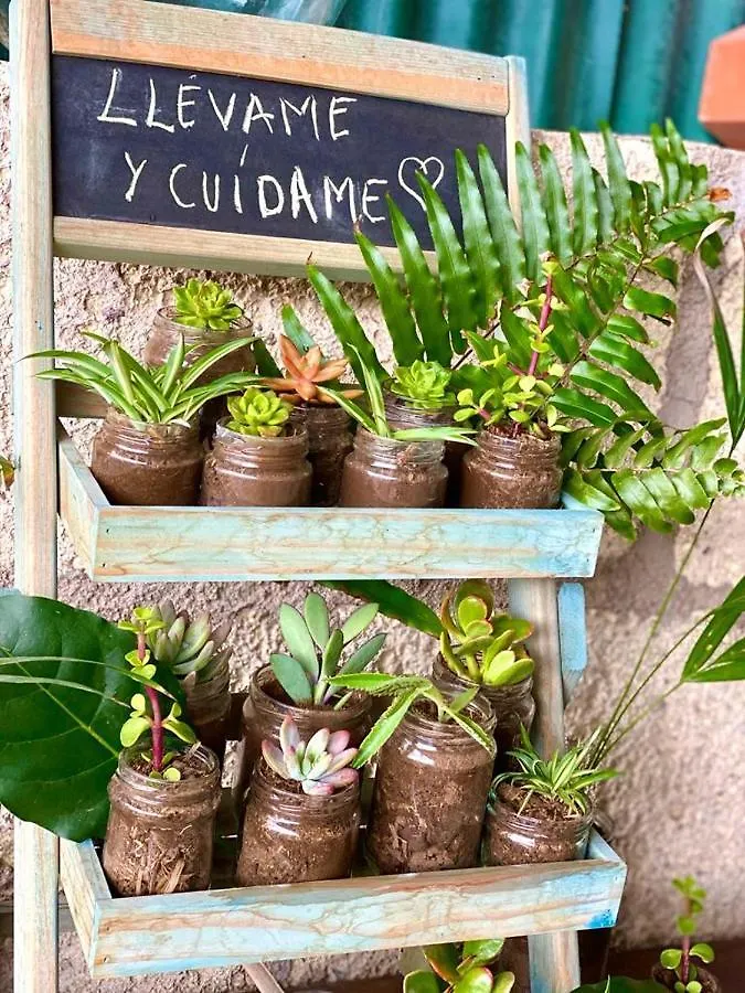 Lykke Suite Spa Sauna Piscina Y Jardin Buzanada