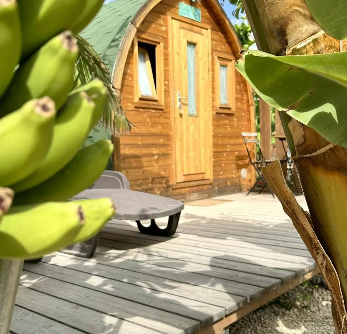 Lykke Suite Spa Sauna Piscina Y Jardin Buzanada 0*,  İspanya