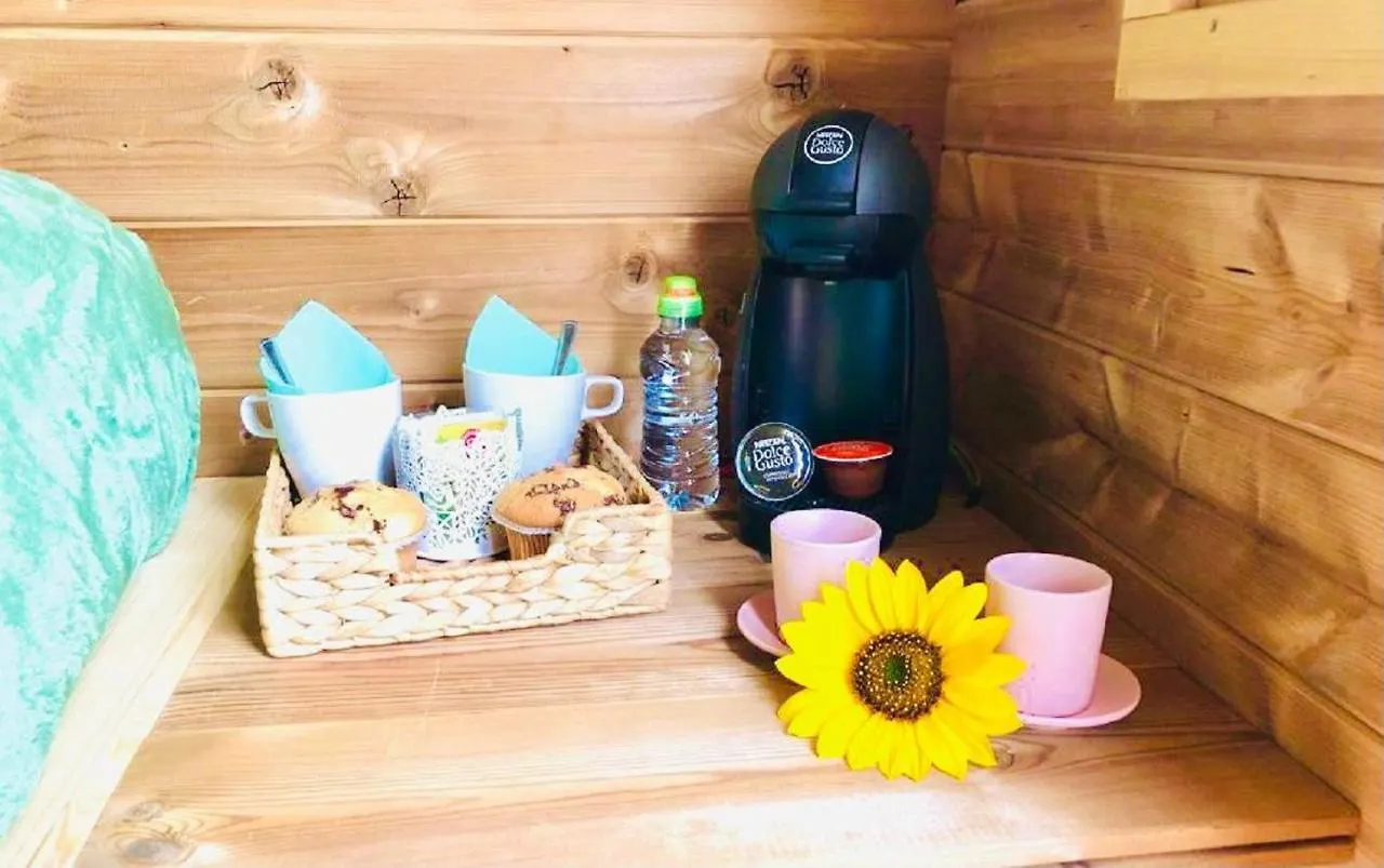 Lykke Suite Spa Sauna Piscina Y Jardin Buzanada İspanya